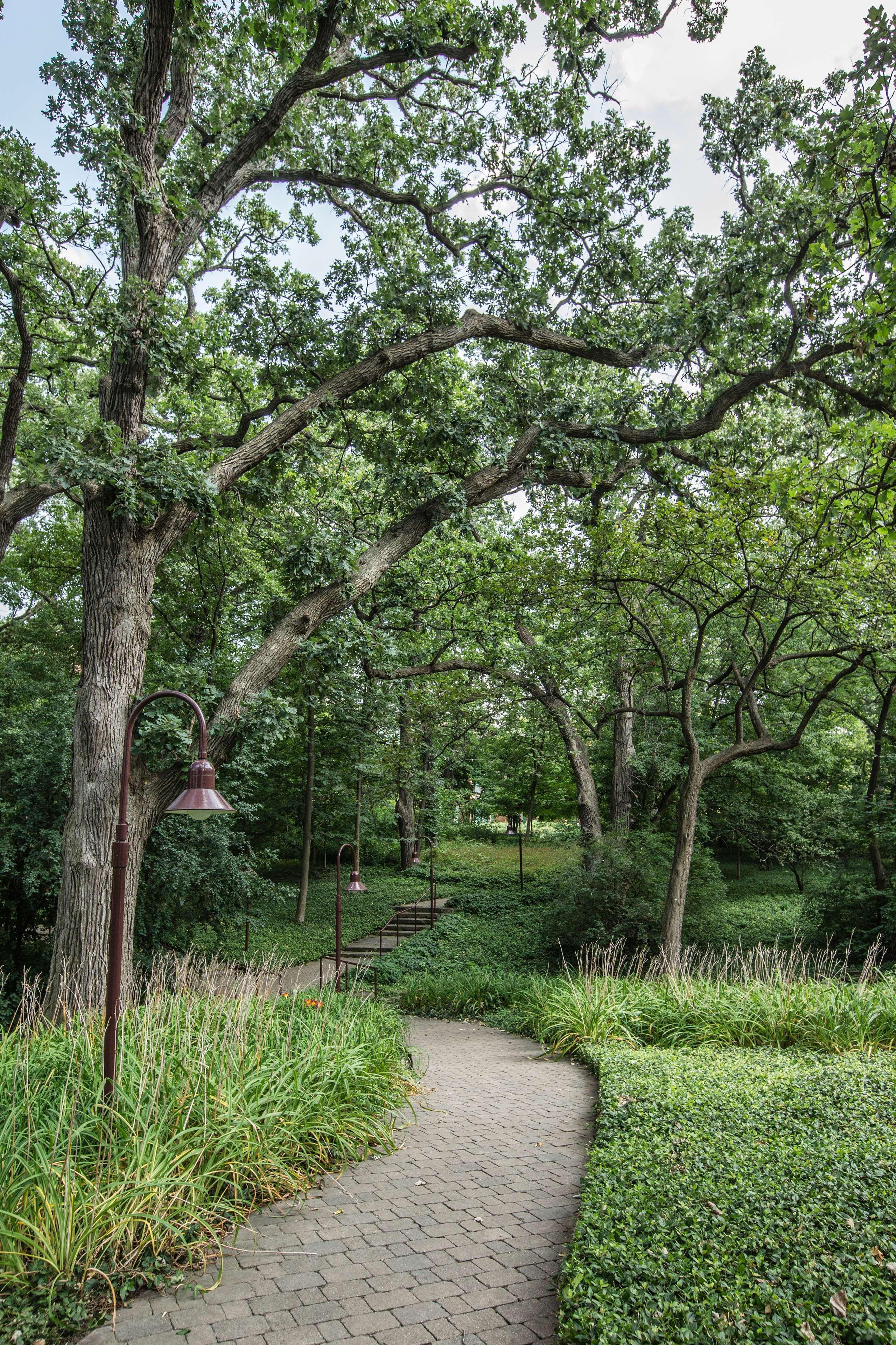 Hyatt Lodge Oak Brook Chicago Exterior photo